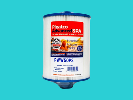 Cartouche de filtration PWW50P3 pour spa, 6 pouces de diamètre par 8 1/4 pouces de long, avec poignée et filetage mâle de 1 1/2 pouce