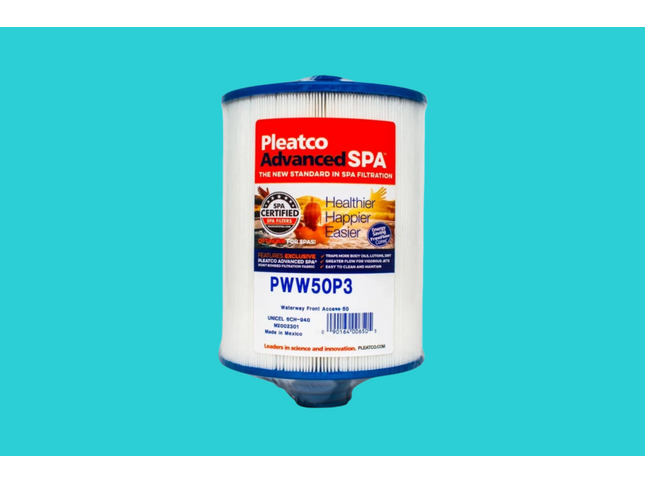 Cartouche de filtration PWW50P3 pour spa, 6 pouces de diamètre par 8 1/4 pouces de long, avec poignée et filetage mâle de 1 1/2 pouce